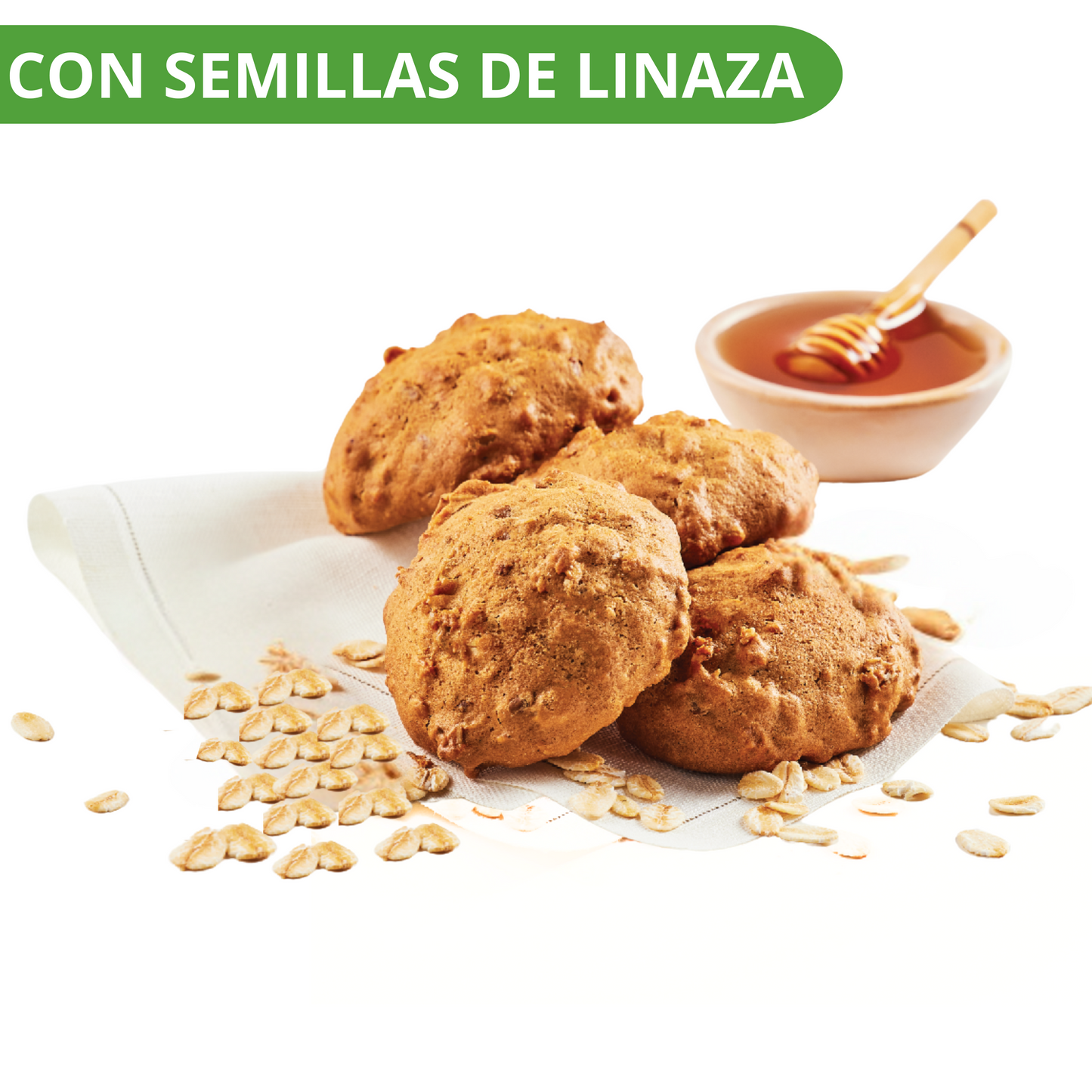 Galletas de Avena 170g