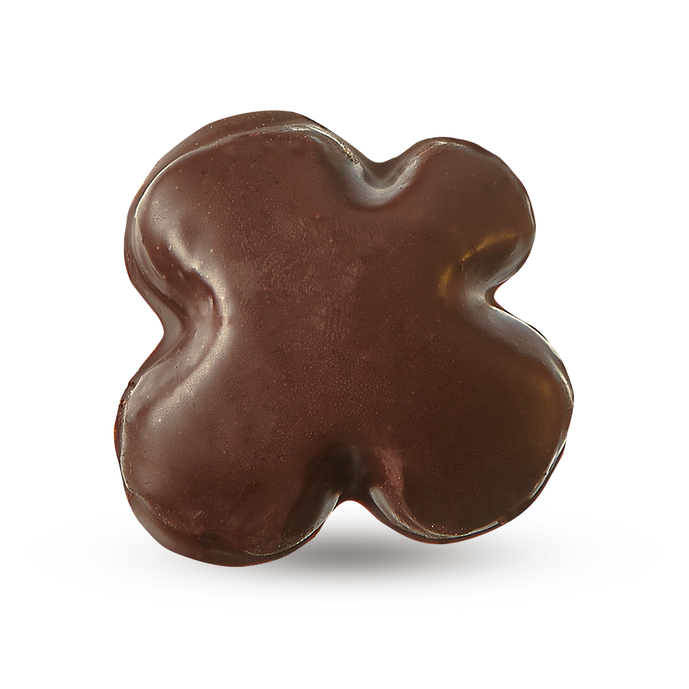Galletas de Mantequilla - Trébol de Chocolate 200g